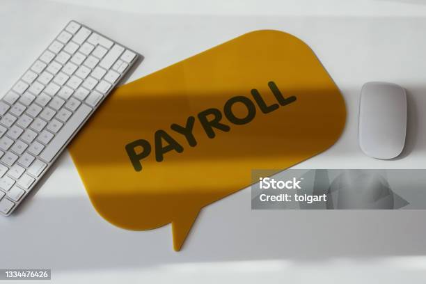 Payroll Stock Photo - Download Image Now - Paycheck, Technology, Employee