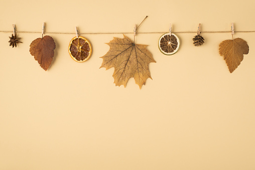 Top view photo of brown autumn leaves anise cone and dried citrus slices attached to twine rope with wooden clothespins on isolated pastel orange background with copyspace