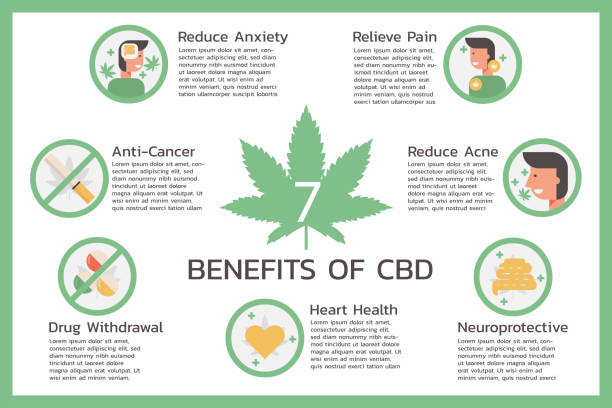 seven benefits of Cannabidiol or CBD, Cannabis infographic vector art illustration
