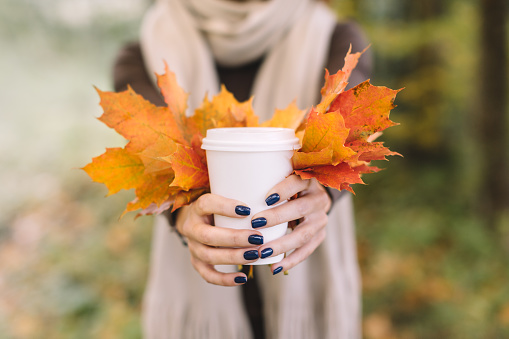 Hot beverage for autumn days. Blank, mockup.