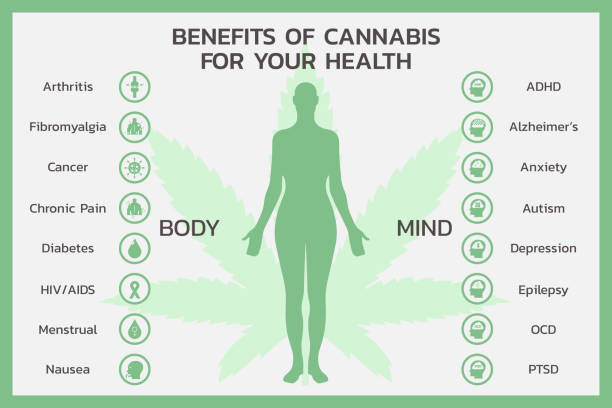 benefits of CBD for mind and body health or Cannabidiol benefits of CBD for mind and body health or Cannabidiol, Cannabis infographic information concept, hemp. vector symbol icon illustration design thc stock illustrations