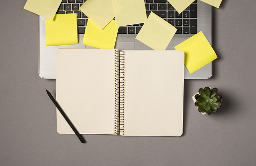 Top view photo of yellow sticky notes on laptop keyboard flowerpot and black pen on open spiral copybook on isolated grey background with empty space