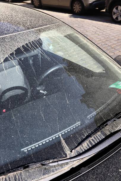 istock Pollen season - car windshield in pollen 1334478313