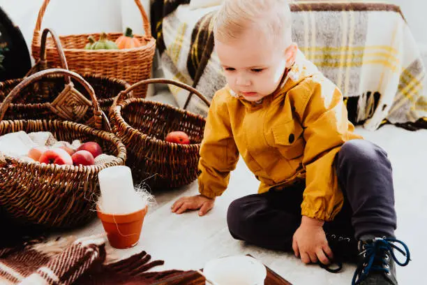 Photo of Cool trendy hipster boy 2 years old wears yellow jacket posing at the decorated photozone of autumn decor with beautiful bright autumn leaves.