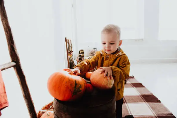 Photo of Cool trendy hipster boy 2 years old wears black posing at the decorated photozone of autumn decor with beautiful bright autumn leaves, pumpkin, apples.