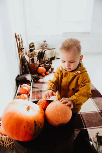 Photo of Cool trendy hipster boy 2 years old wears black posing at the decorated photozone of autumn decor with beautiful bright autumn leaves, pumpkin, apples.