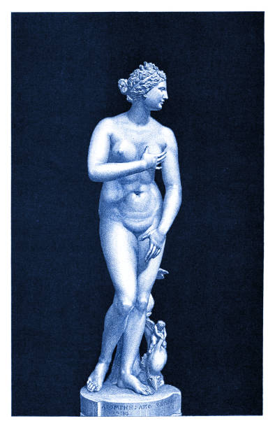 ilustraciones, imágenes clip art, dibujos animados e iconos de stock de dibujo 1895 de la escultura de venus de medici - aphrodite