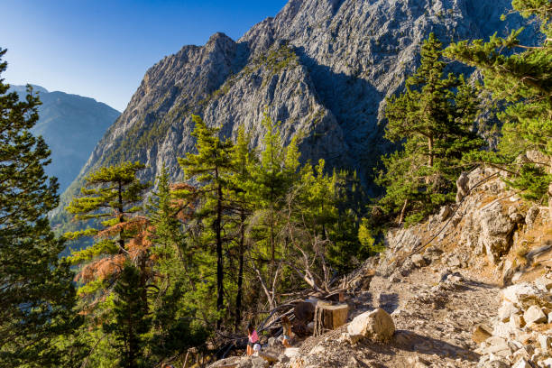istock Beautiful mountain scenery of a gorge surrounded by tall cliffs and pine trees (Samaria Gorge, Crete, Greece) 1334485186