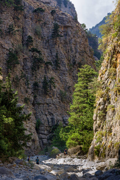 istock Hikers in a huge natural gorge with towering cliffs and pine trees (Samaria Gorge, Crete, Greece) 1334485526