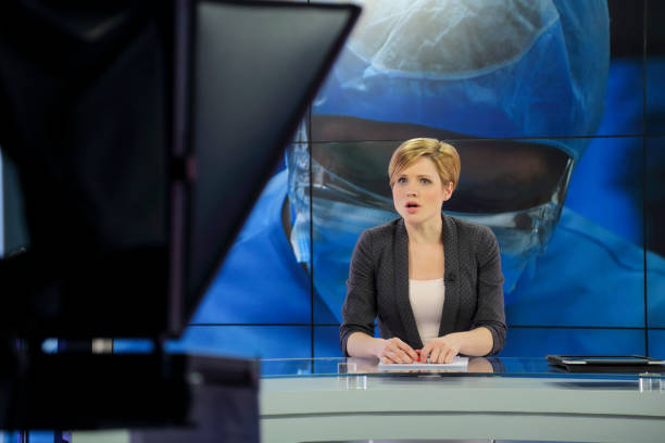 istock Breaking news female anchor 1334488180