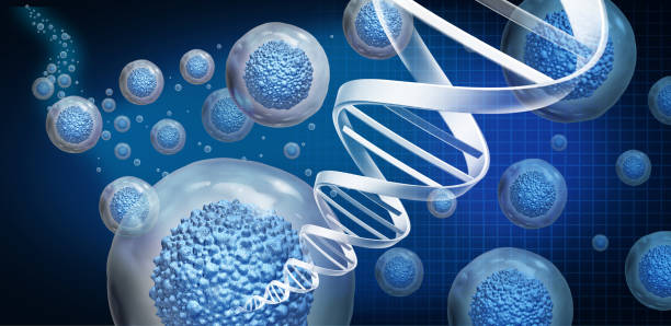 medicina rigenerativa - dna genetic research medicine therapy foto e immagini stock