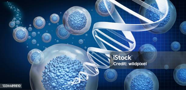 Regenerative Medicine Stock Photo - Download Image Now - Biological Cell, Alternative Therapy, DNA