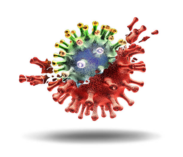 Variant Virus Cell Variant virus cell concept and new mutating coronavirus variants outbreak or covid-19 viral delta outbreak as a mutation of influenza as dangerous flu strain medical health risk with disease cells as a 3D render on white. spike protein stock pictures, royalty-free photos & images