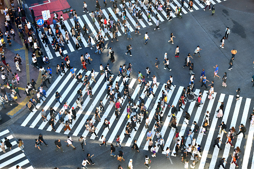Tokyo, Japan- October 2019; High angle view of people on the crossing of Shibuya intersection just outside the train station