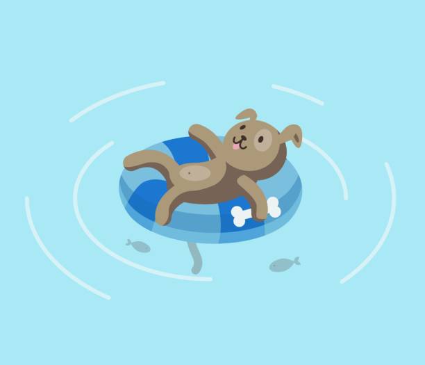 illustrations, cliparts, dessins animés et icônes de chien dans la piscine. illustration vectorielle. - dog wallpaper humor retro revival