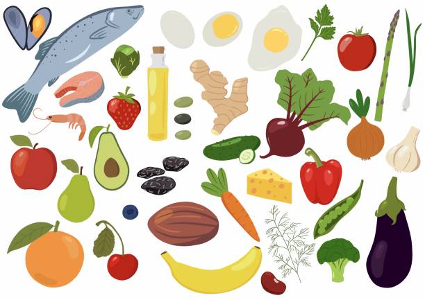 ilustrações de stock, clip art, desenhos animados e ícones de healthy food set. organic products. vector illustration. - dried apple