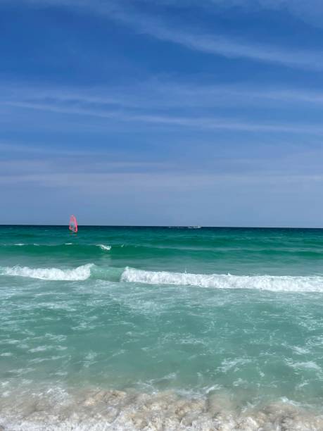 Wind surfer along gulf coast