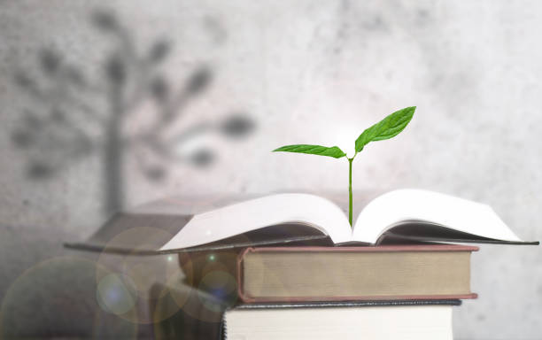 istock Plant seedling with shadow of a tree 1334495545