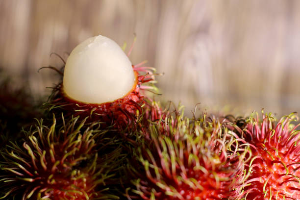 frutta locale - rambutan - rambutan foto e immagini stock