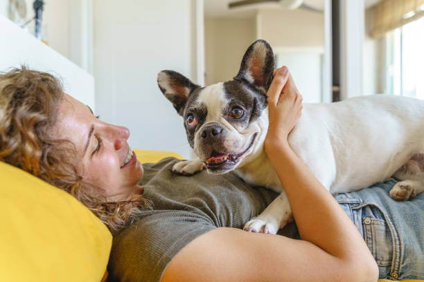 istock Lifestyle with animals indoors. 1334498357