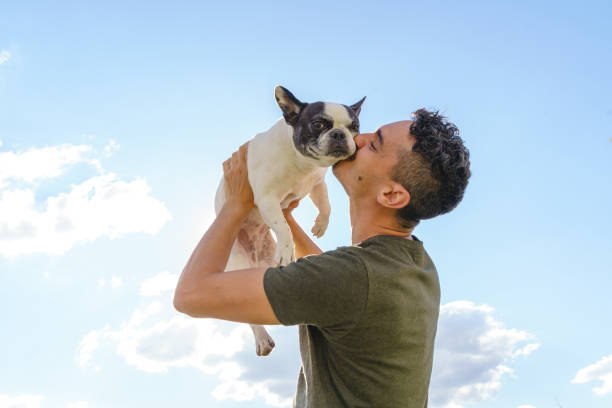 istock Happy man holding up a bulldog. 1334498403