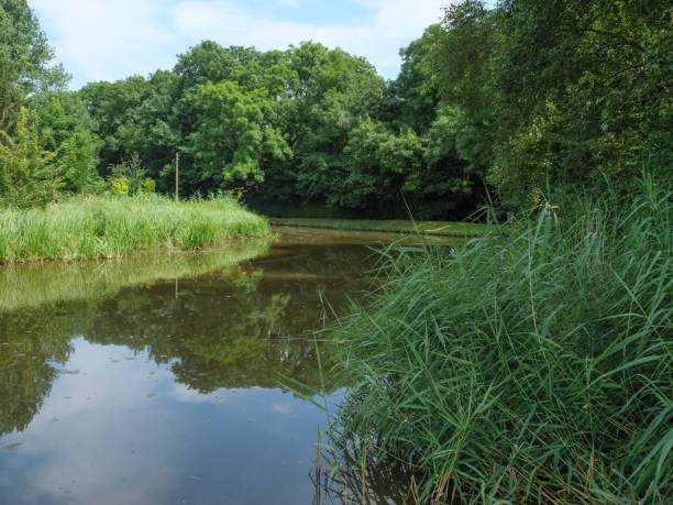 istock ditzum at the river ems in germany 1334498558