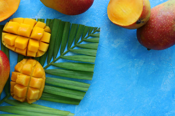 Stock photo showing an elevated view of mango halves sliced and diced with the skin pushed inside out to expose the juicy orange mango flesh sat on a green palm leaf frond. imagen de primer plano de jugosa carne de mango naranja madura cortada por la mitad y cortada en formas de cubo de erizo, rodajas de fruta de mango tropical en dados sobre hoja de palma verde fronda sobre fondo azul, rodeada de mangos enteros, vista elevad