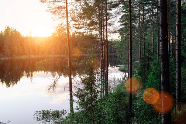 istock Finland lake nature beautiful sunset 1334501210