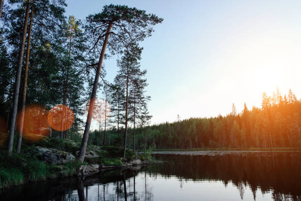 istock Finland lake nature beautiful sunset 1334501495