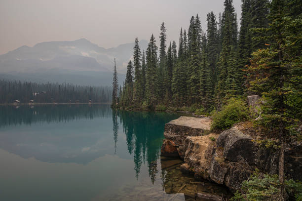 istock Lake O'Hara Shore with Forest Fire Smoke 1334502186
