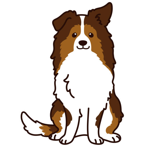 Sheltie Simple Image Bi Black Sheltie Clipart