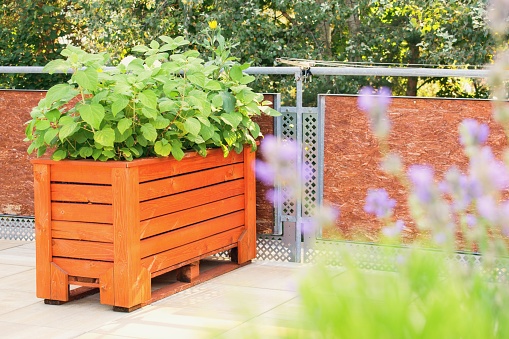 The large wooden flower container on the terrace (pallet furniture)