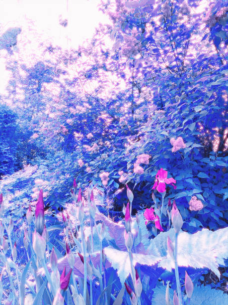 istock beautiful floral backround. 1334503669