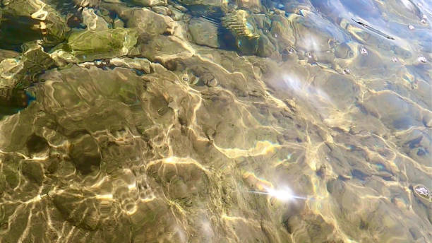 istock Light rays reflecting from water surface background. Refraction patters created on the rocks underwater. 1334503862