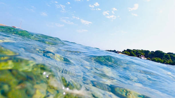 istock View from the surface of the sea while swimming 1334504634