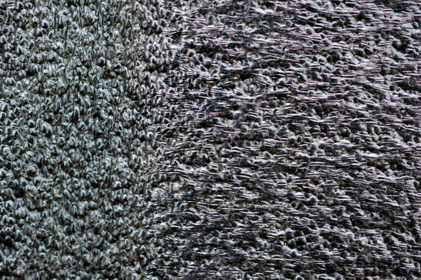 istock Shiny blue-black background of bubble-like plastic 1334506115