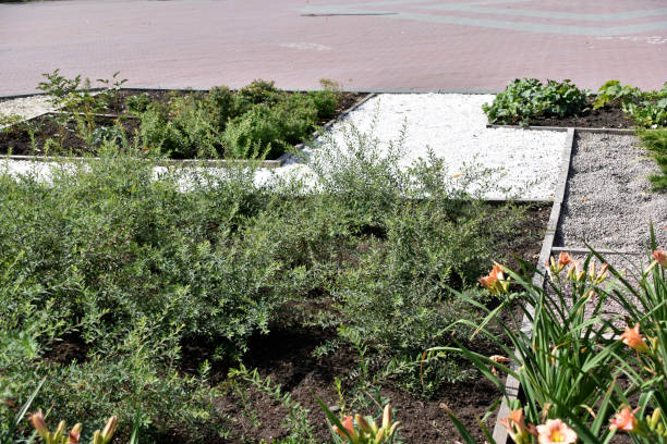 istock Flower beds in Memorial Park in summer 1334506438