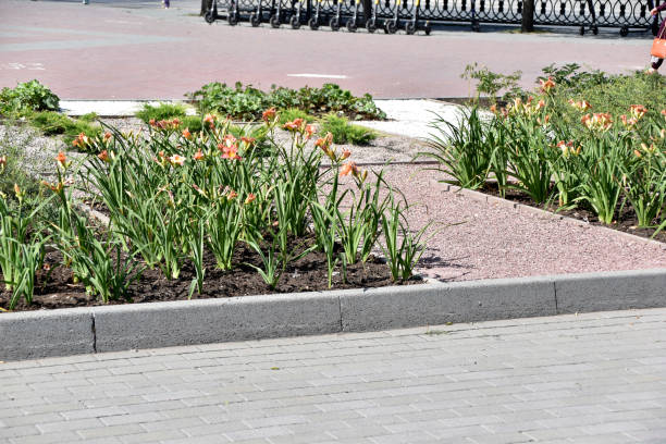 istock Flower beds in Memorial Park in summer 1334506440