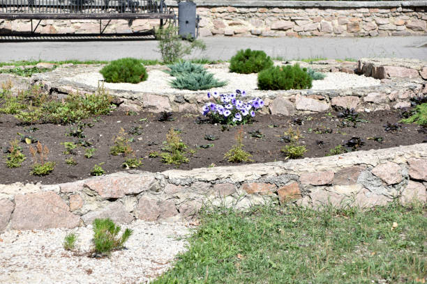 istock Flower beds in Memorial Park in summer 1334506454