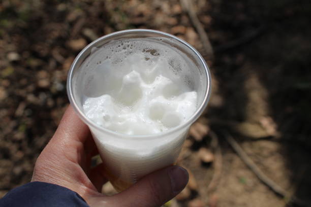 istock in the hand is a plastic cup with fresh beer on a picnic 1334509452