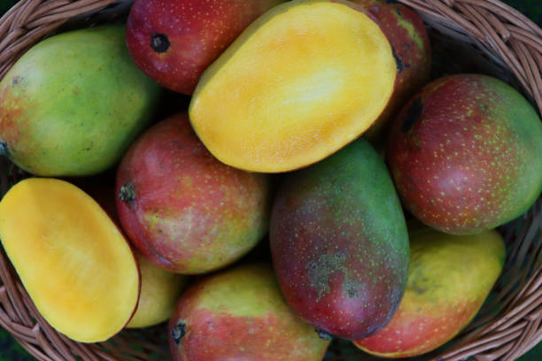istock Full frame image of wicker basket full of tropical mango fruit with one cut in half exposing the orange flesh, elevated view 1334509591