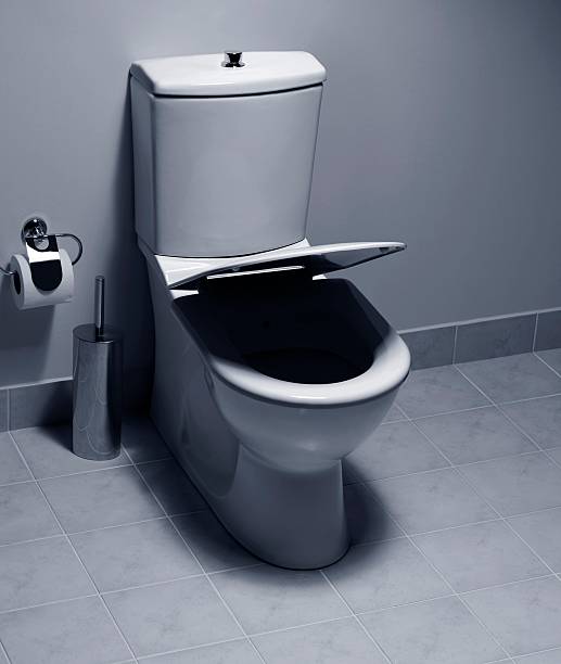 istock Bathroom toilet bowl 133451079