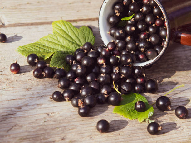 ribes nero in una tazza e cosparso su un tavolo di legno con un posto per il testo - currant food photography color image foto e immagini stock