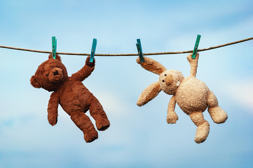 Plush toys bunny and teddy bear are dried on a clothesline after washing