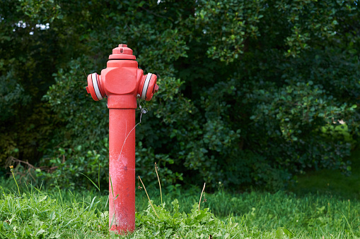 Red fire hydrant in city park, close up. Preventive measures against urban fires