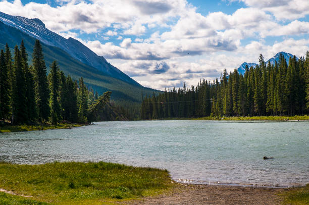 istock Banff National Park in Alberta Canada 1334516392