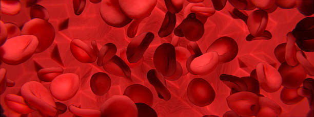 bloodcells merah, rbc, hemoglobin, ilustrasi 3d. - grafi citra foto foto potret stok, foto, & gambar bebas royalti