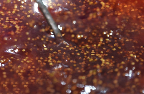 macro photo of fig jam and metal spoon