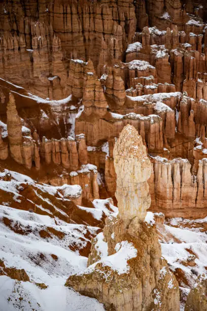 Photo of White Hoodoo Stands Out From The More Abundant Orange Hoodoos