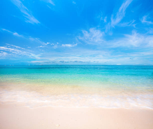 istock Sandy beach and beautiful tropical sea 1334530926
